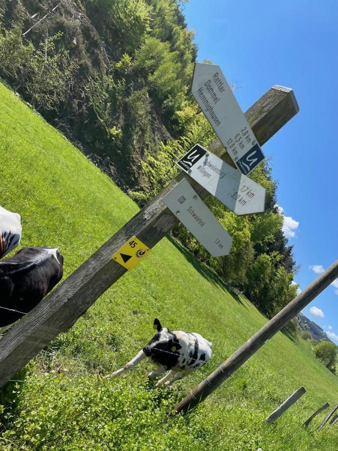 Up Willingen-schwalefeld Apartment