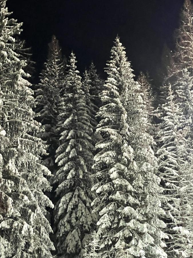 Up Willingen-schwalefeld Appartamento Willingen (Upland)