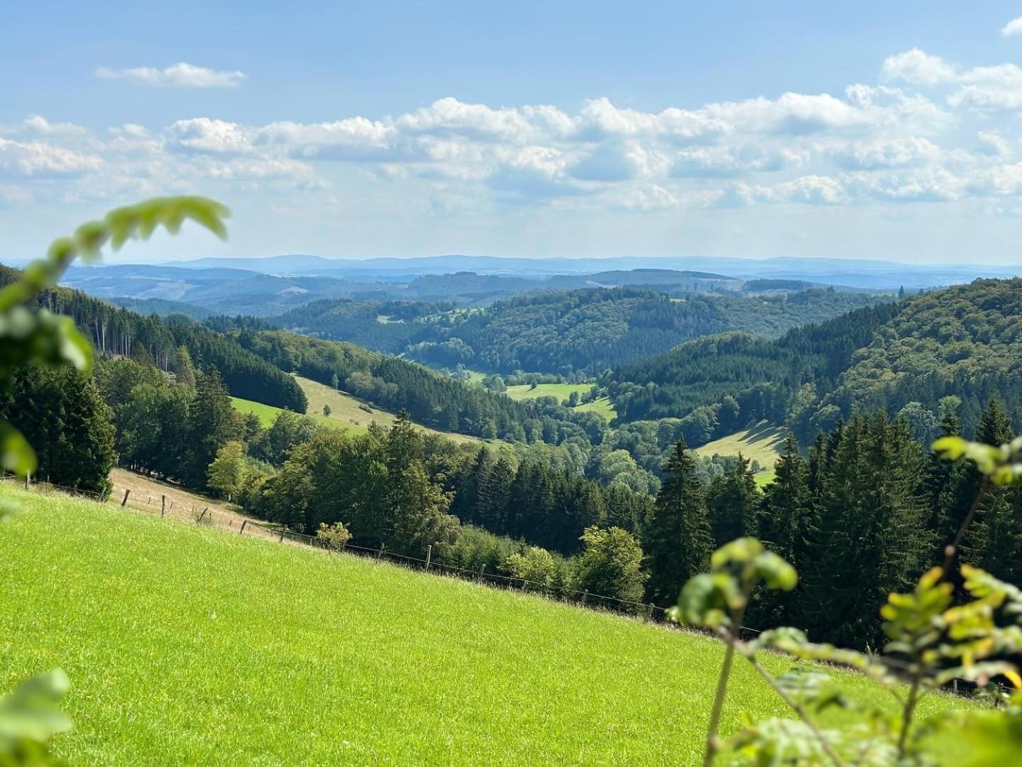 Up Willingen-schwalefeld Apartment